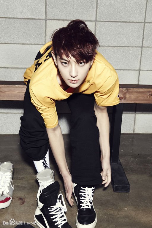 exo tao的图片