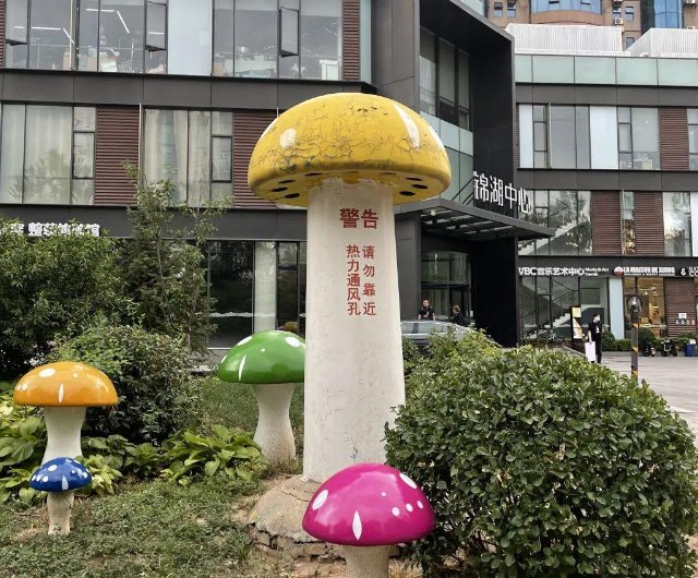北京街头出现2米高的蘑菇,这到底是什么物种?