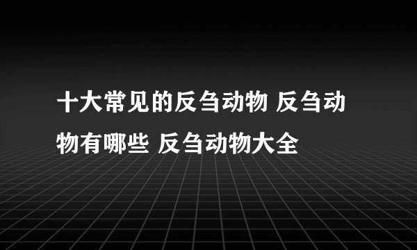 十大常见的反刍动物 反刍动物有哪些 反刍动物大全