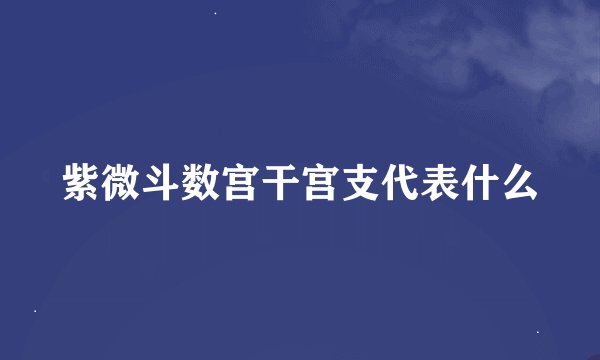 紫微斗数宫干宫支代表什么