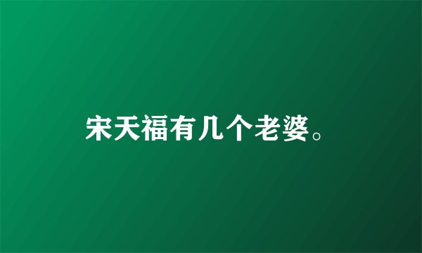 宋天福有几个老婆。