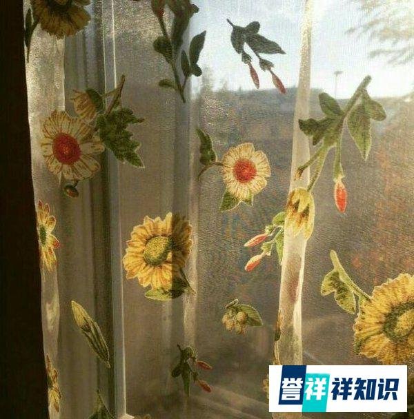 张学友模仿倪夏莲名场面？只要心怀热爱，永远都是当打之年
