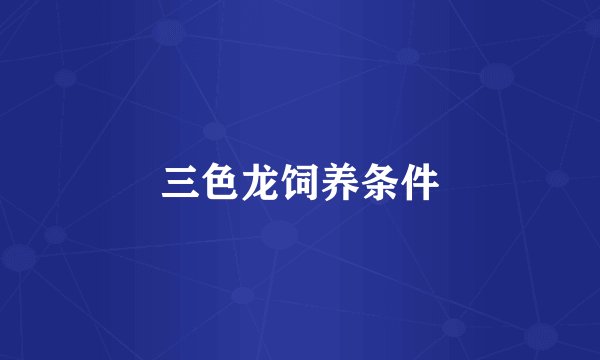 三色龙饲养条件