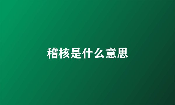 稽核是什么意思