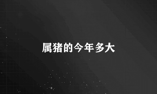 属猪的今年多大