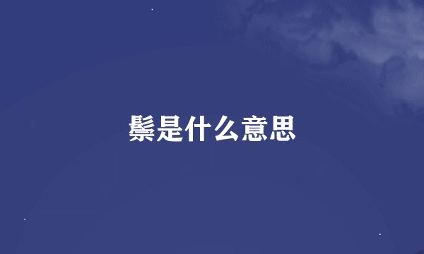 鬃是什么意思