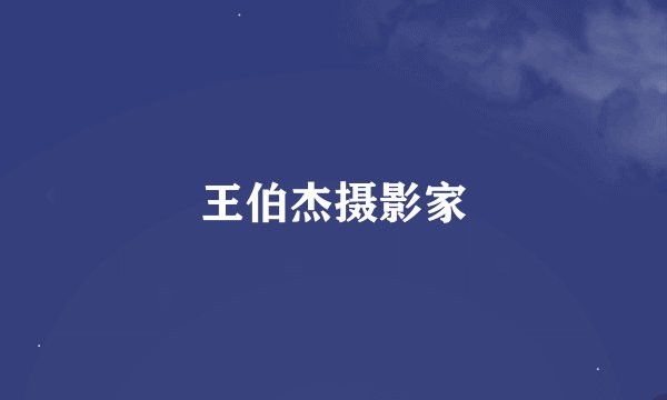 王伯杰摄影家