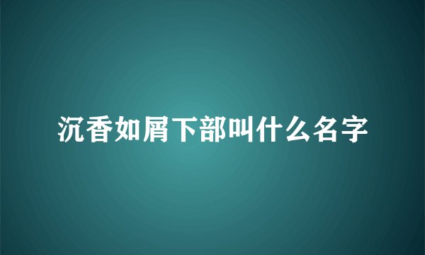 沉香如屑下部叫什么名字