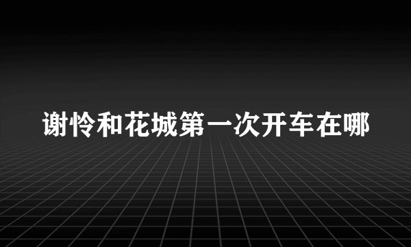 谢怜和花城第一次开车在哪