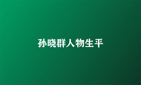孙晓群人物生平