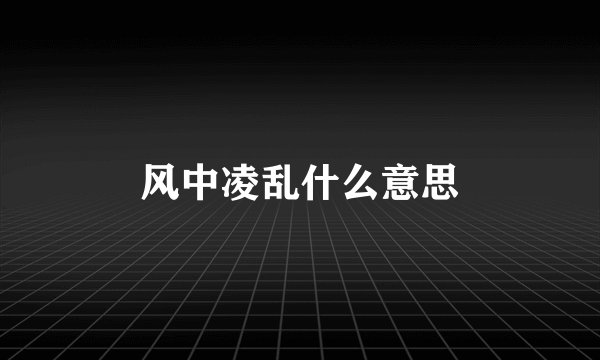 风中凌乱什么意思
