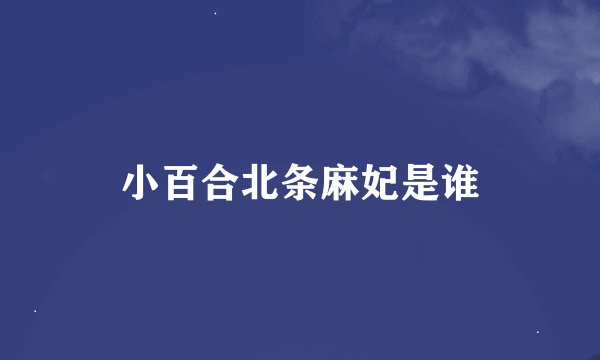 小百合北条麻妃是谁