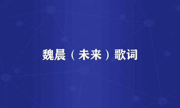 魏晨(未来)歌词