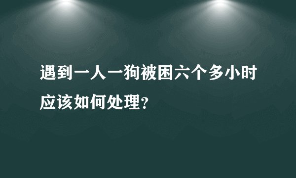 遇到一人一狗被困六个多小时应该如何处理？