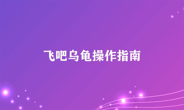 飞吧乌龟操作指南