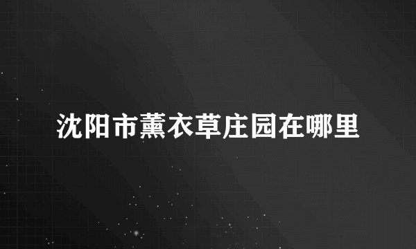 沈阳市薰衣草庄园在哪里