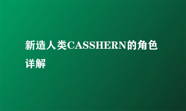 新造人类CASSHERN的角色详解