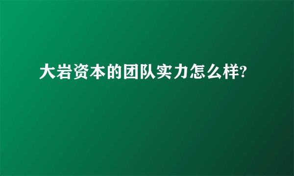 大岩资本的团队实力怎么样?