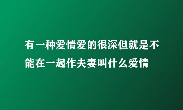 有一种爱情爱的很深但就是不能在一起作夫妻叫什么爱情