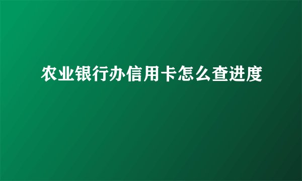 农业银行办信用卡怎么查进度