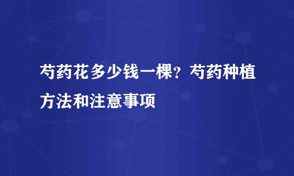 芍药花多少钱一棵?芍药种植方法和注意事项