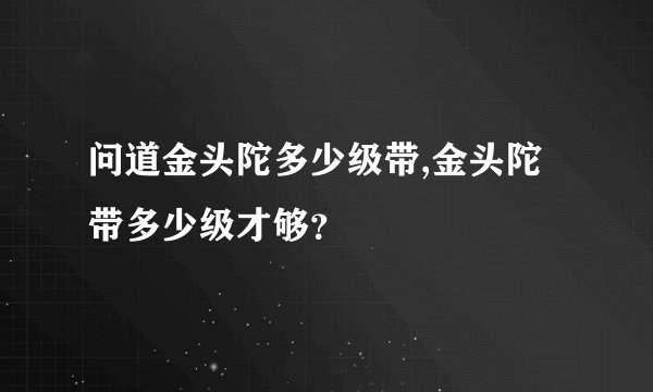 问道金头陀多少级带,金头陀带多少级才够？