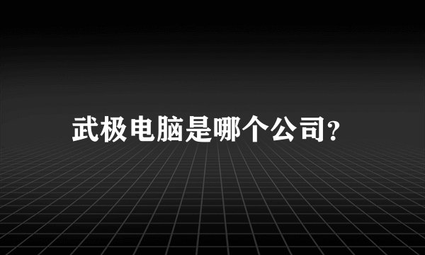 武极电脑是哪个公司？