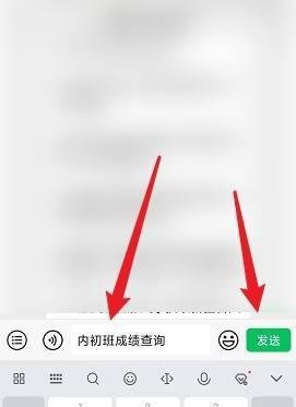 新疆内初班考试成绩怎么查询