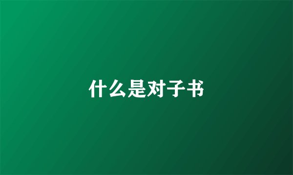 什么是对子书