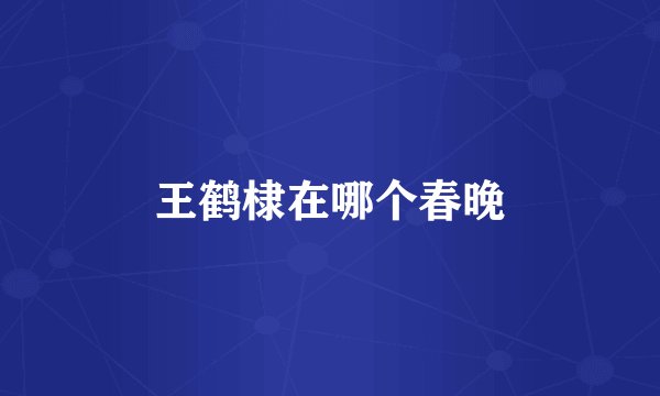 王鹤棣在哪个春晚