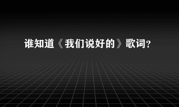 谁知道《我们说好的》歌词？