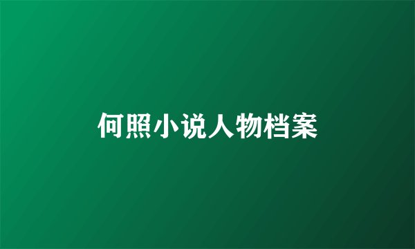 何照小说人物档案