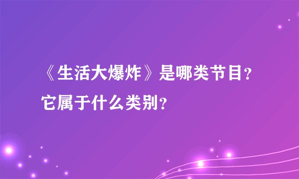 《生活大爆炸》是哪类节目？它属于什么类别？