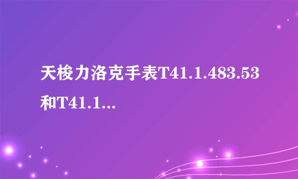 天梭力洛克手表T41.1.483.53和T41.1.423.53有什么区别?