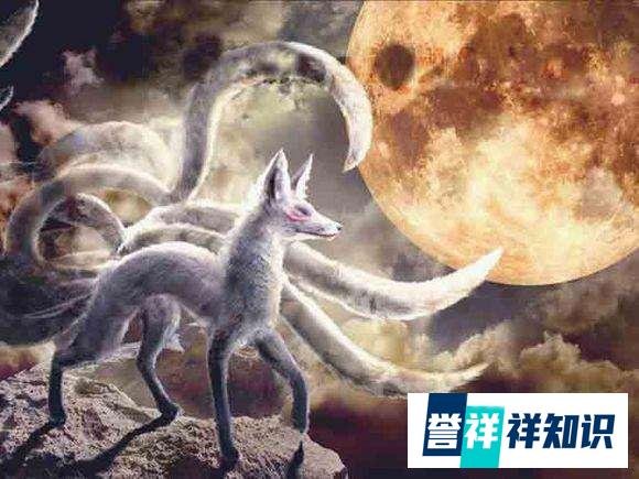 看电影品人生：《姜子牙》讲述的人生故事