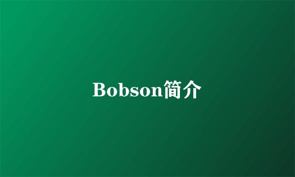 Bobson简介