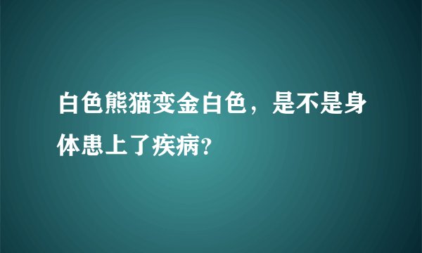 白色熊猫变金白色,是不是身体患上了疾病?