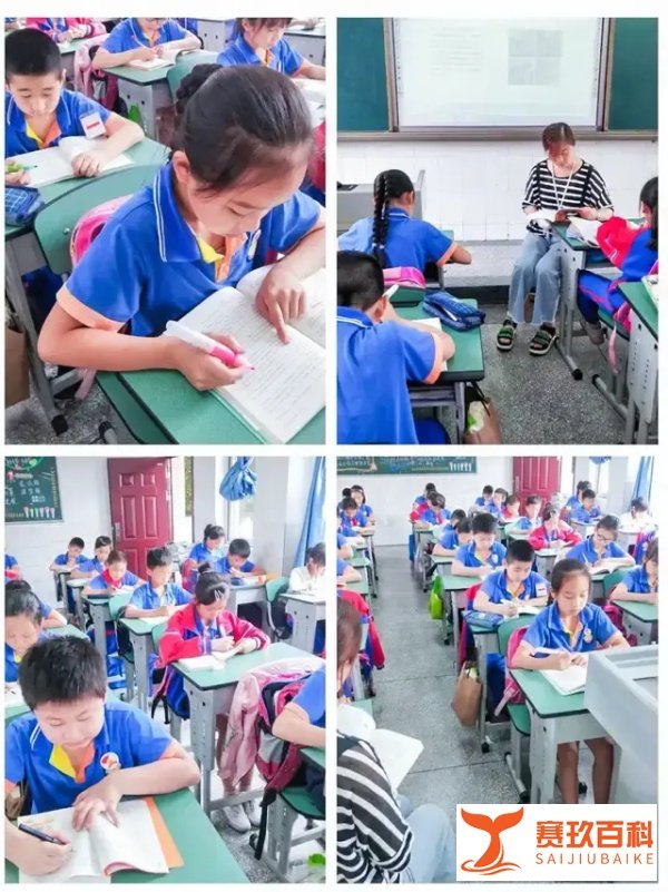 成都市双流区金桥小学——阅读悦美 共浴书香