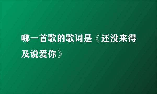 哪一首歌的歌词是《还没来得及说爱你》