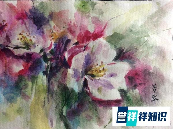 我为母校代言（8）：河南省舞钢师范学校，创办于1975年