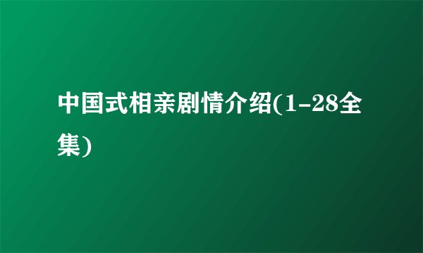 中国式相亲剧情介绍(1-28全集)
