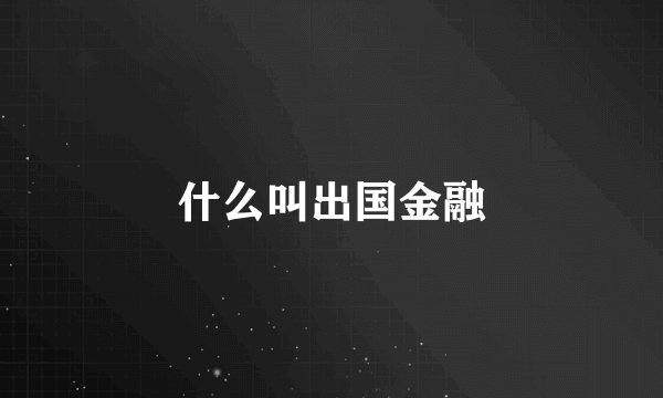 什么叫出国金融
