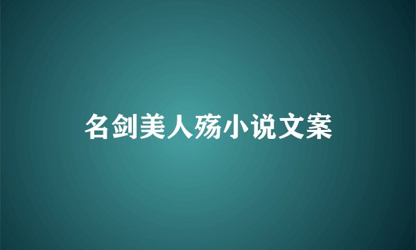 名剑美人殇小说文案