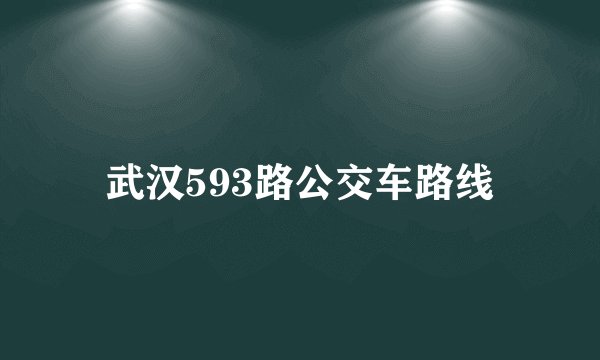 武汉593路公交车路线
