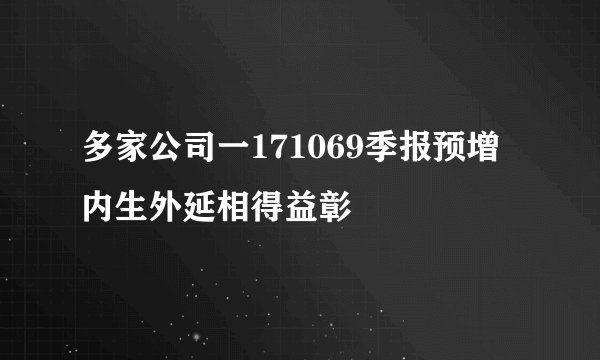 多家公司一171069季报预增 内生外延相得益彰