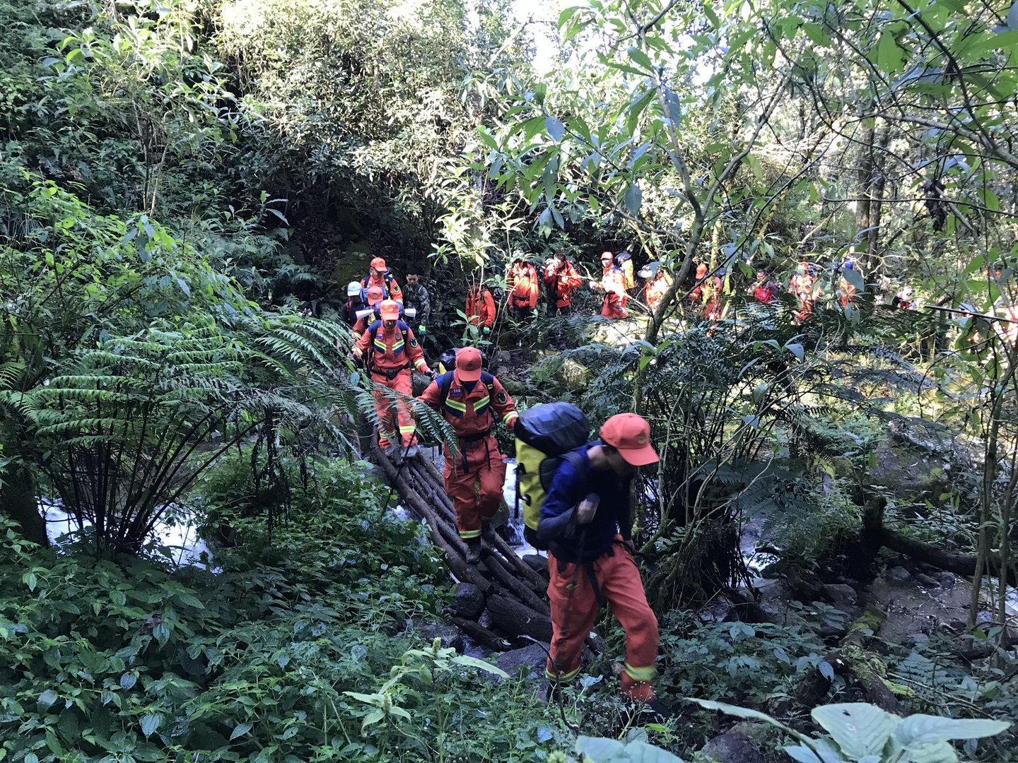 解密哀牢山搜救,搜救人员在搜救过程中遭遇了哪些困难?