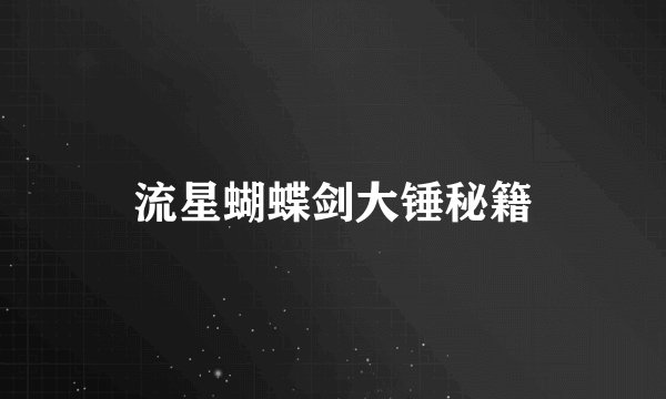 流星蝴蝶剑大锤秘籍