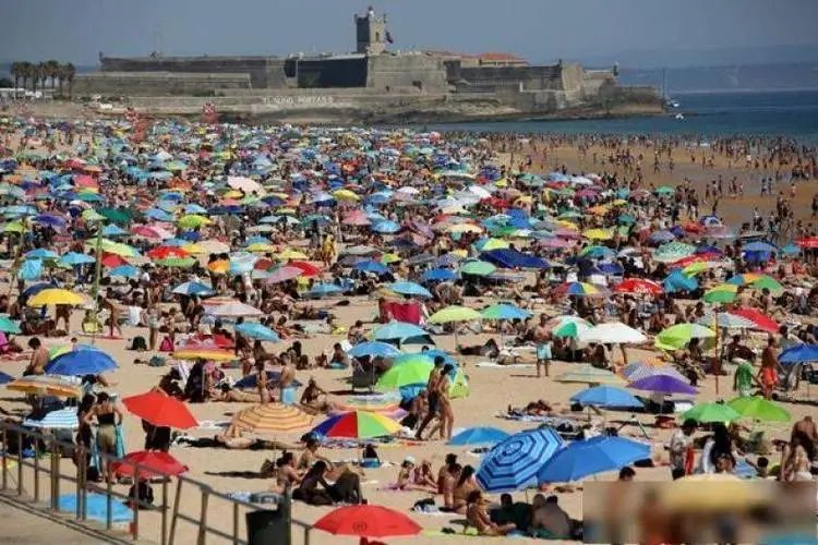 百年一遇热浪!高温灾难笼罩欧洲,各国采取了哪些应对措施?