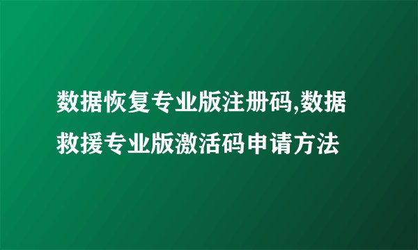 数据恢复专业版注册码,数据救援专业版激活码申请方法