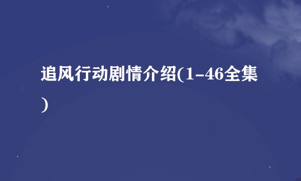 追风行动剧情介绍(1-46全集)